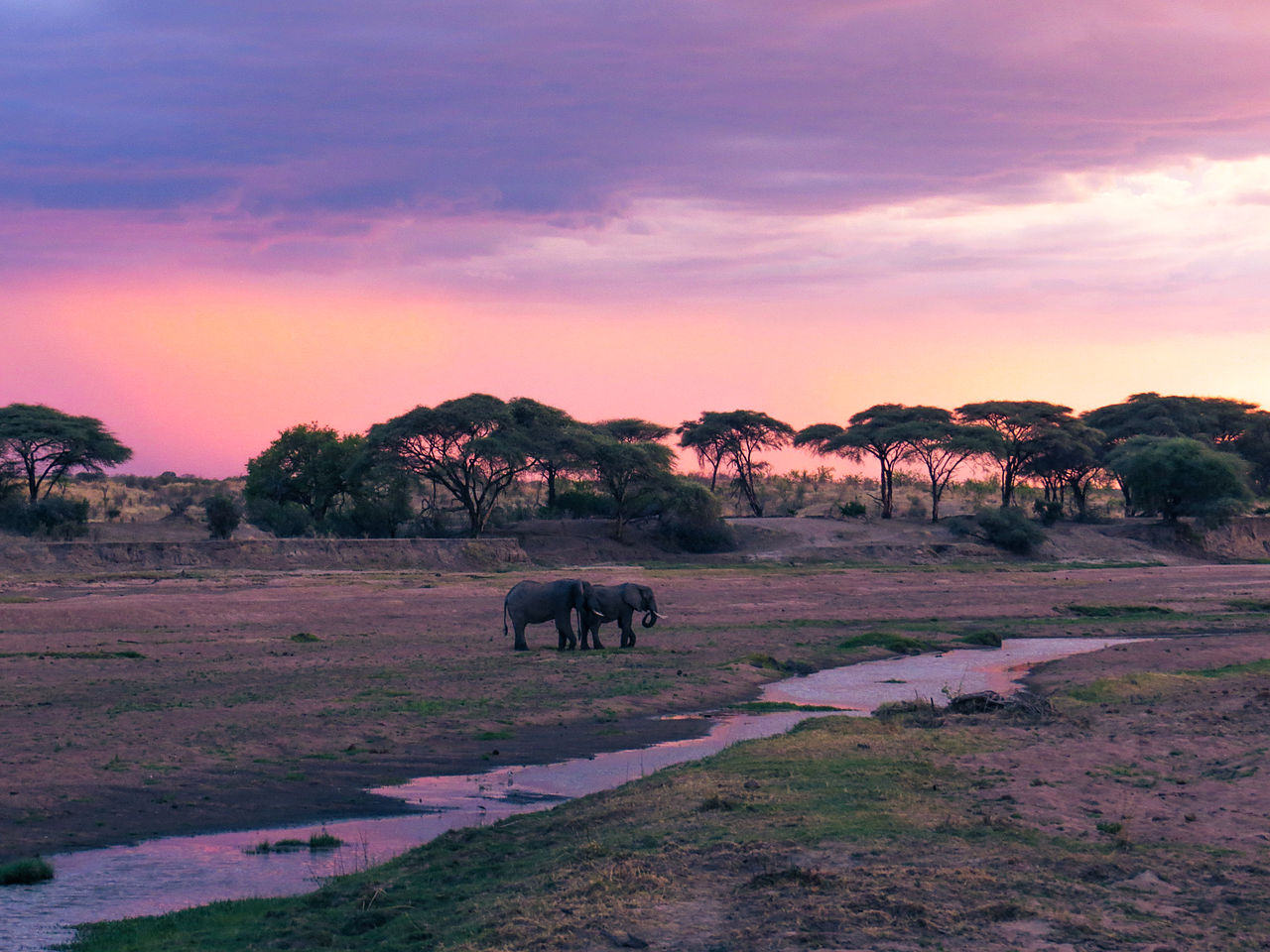 East Africas Best National Parks Olibert Footwear